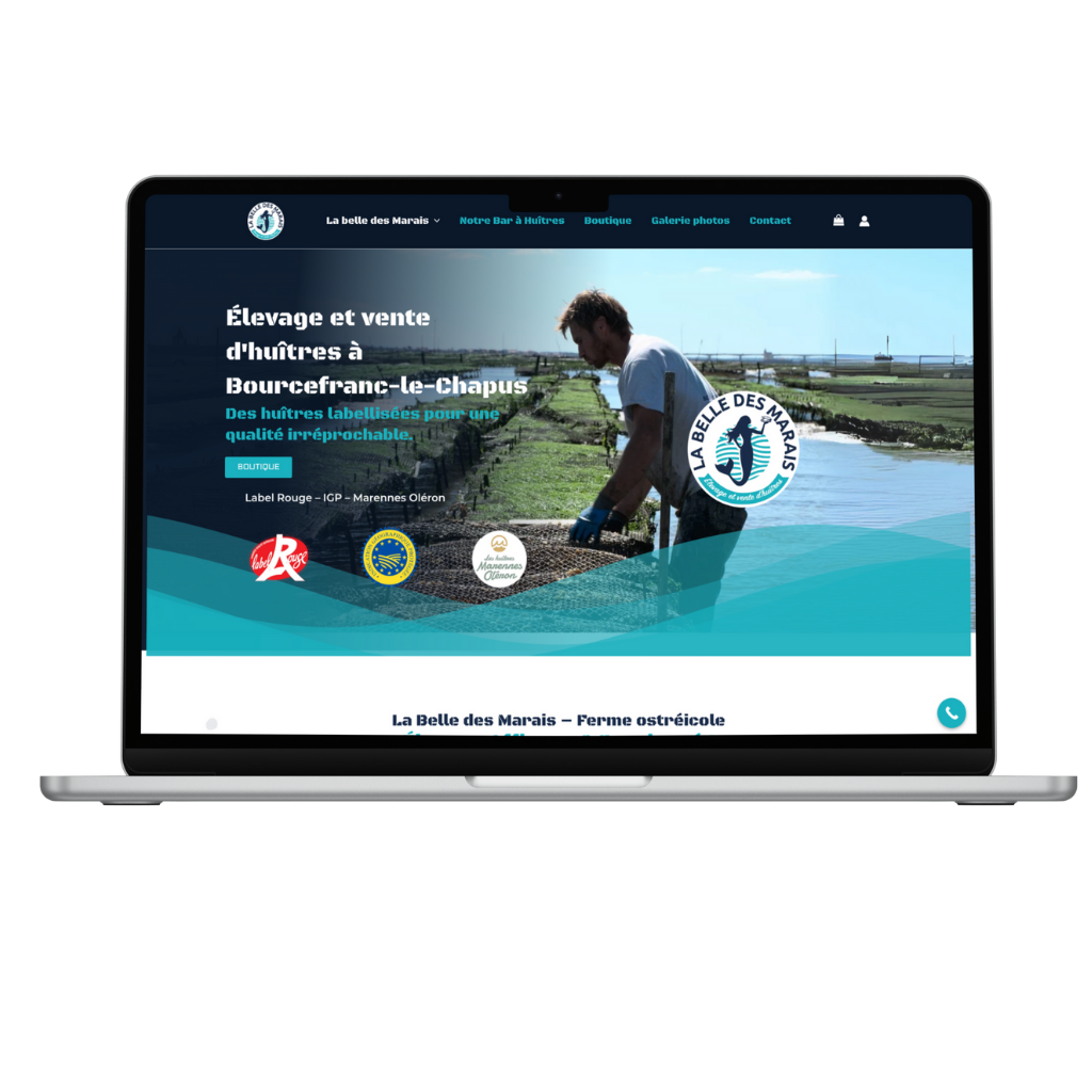 REFONTE SITE VENTE HUITRES WEBAVIE DIFFUSION REFONTE SITE VENTE HUITRES WEBAVIE DIFFUSION