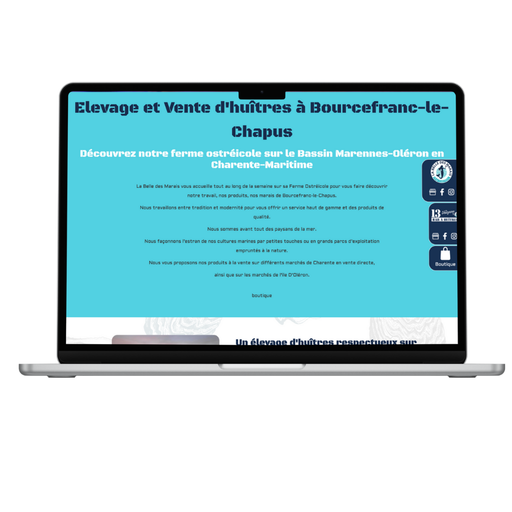 SITE VENTE HUITRE AVANT REFONTE PAR WEBAVIEDIFFUSION SITE VENTE HUITRE AVANT REFONTE PAR WEBAVIEDIFFUSION
